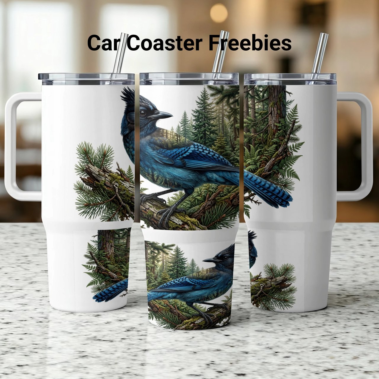 Steller's Jay Tumbler Wrap Digital Design, Blue Jay Forest Sublimation PNG, PNW Wildlife Bird 40oz Tumbler Wrap Art