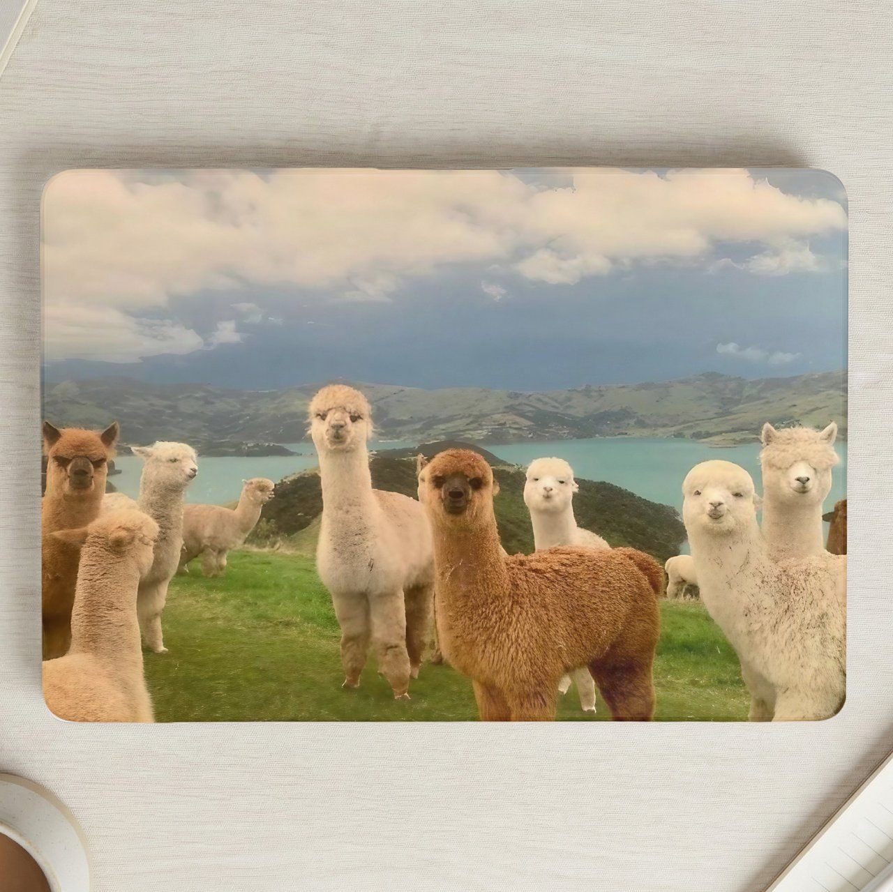 Curious Alpacas MacBook Case