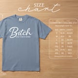 Bitch and Then Some T-Shirt, Sassy Sarcastic Tee, Funny Gift for Her, Confident Woman Top, Witty Statement Apparel thumbnail 9