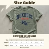 Roxbury Boston Collegiate Tee thumbnail 11