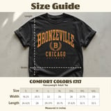 Bronzeville Chicago Crest Tee thumbnail 5