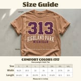 313 Highland Park Michigan Tee thumbnail 11