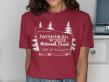 Iwishabish Woods Land of Audacity Graphic Tee thumbnail 12