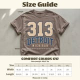 313 Detroit Michigan Tee thumbnail 14
