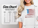 Pickleball Comfort Colors Shirt, PICKLEBALL Distressed USA Flag, Vintage Patriotic Court Graphic Tee thumbnail 15