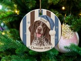 German Shorthaired Pointer Ornament 2026, Cute GSP Dog Christmas Ornament, Brown Roan Hunting Dog Mom Gift, Holiday Pet Keepsake Decor thumbnail 1