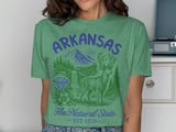 Arkansas The Natural State Vintage Graphic Tee thumbnail 8