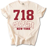 718 Co-Op City NY Tee thumbnail 11