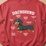 Funny Dachshund Anatomy Tee thumbnail 8