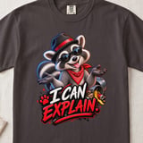 I Can Explain Raccoon Tee thumbnail 7