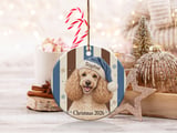 Poodle Christmas Ornament 2026, Cute Apricot Dog Holiday Keepsake, Blue Santa Hat Pet Lover Gift for Dog Mom, Festive Xmas Tree Decor thumbnail 2