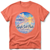 Gogh Salt Flats ~ Comfort Colors Premium Tee thumbnail 4