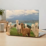 Curious Alpacas MacBook Case thumbnail 4
