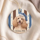 Poodle Christmas Ornament 2026, Cute Apricot Dog Holiday Keepsake, Blue Santa Hat Pet Lover Gift for Dog Mom, Festive Xmas Tree Decor thumbnail 5