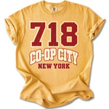 718 Co-Op City NY Tee thumbnail 13