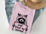 Just Treat Me Normal Raccoon T-Shirt, Funny Animal Lover Tee, Sarcastic Introvert Humor Graphic Shirt, Unique Wildlife Gift Apparel thumbnail 8