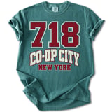 718 Co-Op City NY Tee thumbnail 14