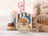 Pomeranian Christmas Ornament 2026, Dog Mom Gift, Cute Fluffy Puppy Blue Santa Hat Xmas Tree Keepsake, Holiday Gift for Dog Lover thumbnail 2