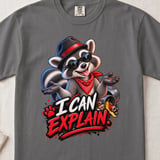 I Can Explain Raccoon Tee thumbnail 2