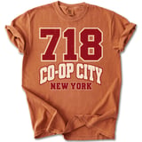 718 Co-Op City NY Tee thumbnail 12