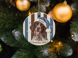 German Shorthaired Pointer Ornament 2026, Cute GSP Dog Christmas Ornament, Brown Roan Hunting Dog Mom Gift, Holiday Pet Keepsake Decor thumbnail 3