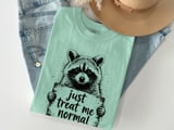 Just Treat Me Normal Raccoon T-Shirt, Funny Animal Lover Tee, Sarcastic Introvert Humor Graphic Shirt, Unique Wildlife Gift Apparel thumbnail 6