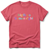 Big Fan of Human Rights Tee thumbnail 29
