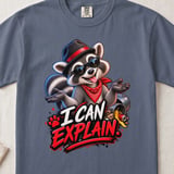 I Can Explain Raccoon Tee thumbnail 4