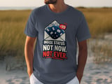 Inbox Status Not Now Not Ever Tee thumbnail 7