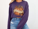 Pretty Little Pumpkin Tee or Sweatshirt thumbnail 20