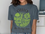 Ohio Buckeye State Heritage Graphic T-Shirt thumbnail 11