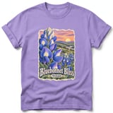 Bluebonnet Bliss ~ Comfort Colors Premium Tee thumbnail 6