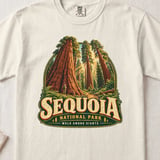 Sequoia Walk Among Giants Tee thumbnail 1