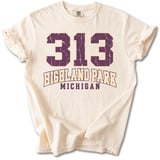 313 Highland Park Michigan Tee thumbnail 14