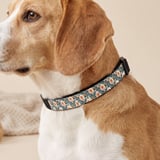 Peach Rose Floral Pet Bandana thumbnail 1