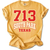 713 South Park TX Tee thumbnail 2