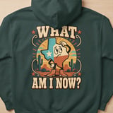 What Am I Now Texas Hoodie thumbnail 3