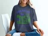 Arkansas The Natural State Vintage Graphic Tee thumbnail 4