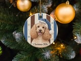 Poodle Christmas Ornament 2026, Cute Apricot Dog Holiday Keepsake, Blue Santa Hat Pet Lover Gift for Dog Mom, Festive Xmas Tree Decor thumbnail 3