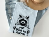 Just Treat Me Normal Raccoon T-Shirt, Funny Animal Lover Tee, Sarcastic Introvert Humor Graphic Shirt, Unique Wildlife Gift Apparel thumbnail 5