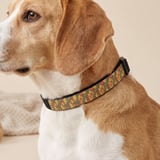 Autumn Harvest Pet Bandana thumbnail 1