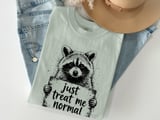 Just Treat Me Normal Raccoon T-Shirt, Funny Animal Lover Tee, Sarcastic Introvert Humor Graphic Shirt, Unique Wildlife Gift Apparel thumbnail 9