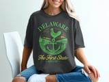 Delaware The First State Graphic T-Shirt thumbnail 1