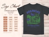 Arkansas The Natural State Vintage Graphic Tee thumbnail 7