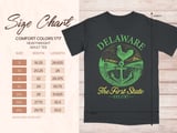 Delaware The First State Graphic T-Shirt thumbnail 7