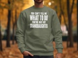 You're Not My Granddaughter Tee thumbnail 12