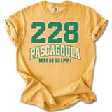 228 Pascagoula Mississippi Tee thumbnail 9