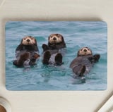 Floating Sea Otters MacBook Case thumbnail 1