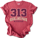 313 Highland Park Michigan Tee thumbnail 8