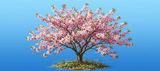 40oz Cherry Blossom Tumbler Wrap Design PNG | Full Wrap Sublimation Digital File for Spring Bloom Tumblers with Handle thumbnail 13